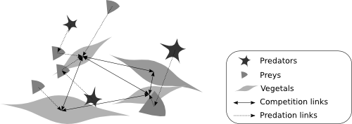 A virtual predator prey ecosystem